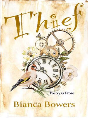 cover image of Thief
